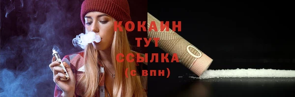 мяу мяу мука Алзамай