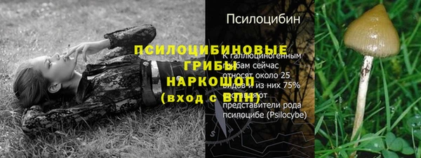 jwh Сафоново