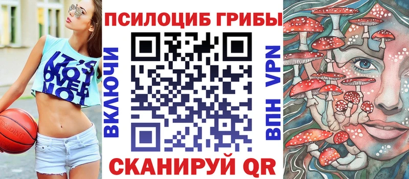 Псилоцибиновые грибы мицелий наркошоп Белоозёрский